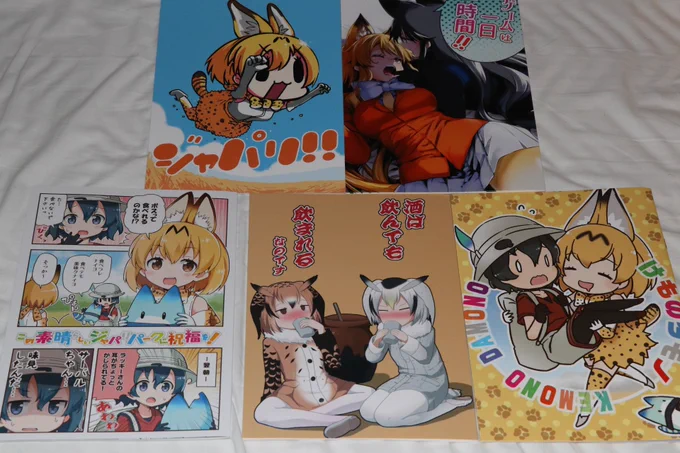 けもフレ同人誌もいっぱい買ってしまった…もって帰るのがちょっと大変かも 