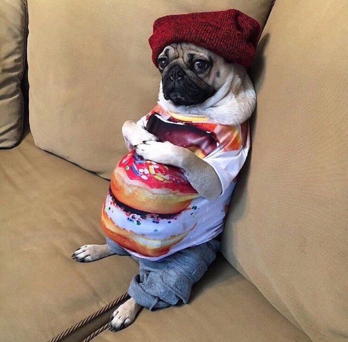 View image on Twitter View image on Twitter