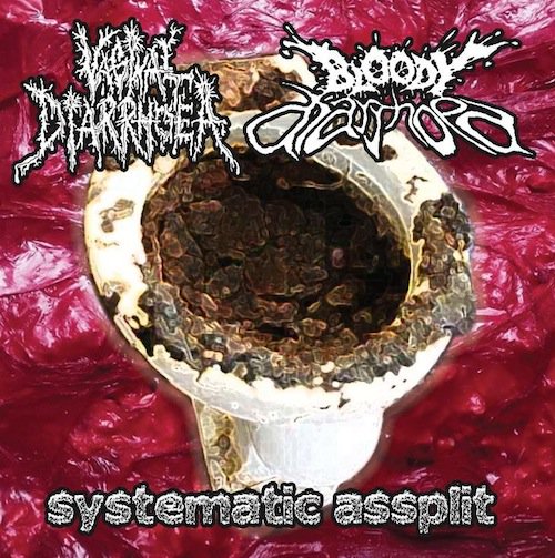 新 VAGINAL DIARRHOEA / BLOODY DIARRHOEA (CD) ゲリ便ゴアグラインド 