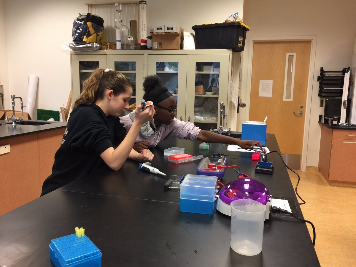 iTechPrep's tweet photo. iTech Biology students practice loading agarose gels for their DNA fingerprinting challenge. #VPSAmazing #ForensicScience #STEM https://t.co/i5VBzic96c