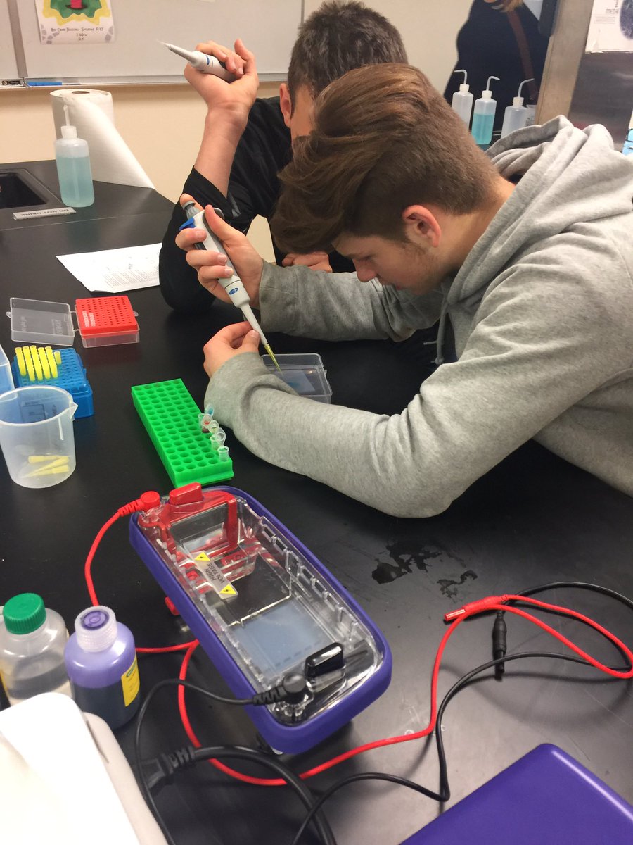 iTechPrep's tweet photo. iTech Biology students practice loading agarose gels for their DNA fingerprinting challenge. #VPSAmazing #ForensicScience #STEM https://t.co/i5VBzic96c