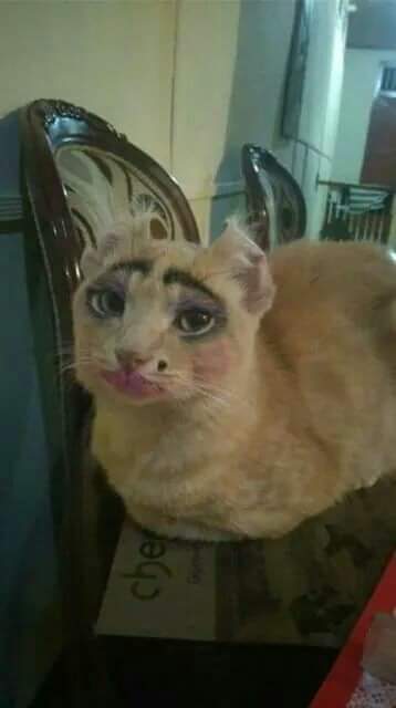 DenisseValverd's tweet photo. @HartLali @DreamsHart @kraygpena La nariz de rocoto empezó ...se comporta como un alucinado de mrd  así de simple https://t.co/XITubjBvun