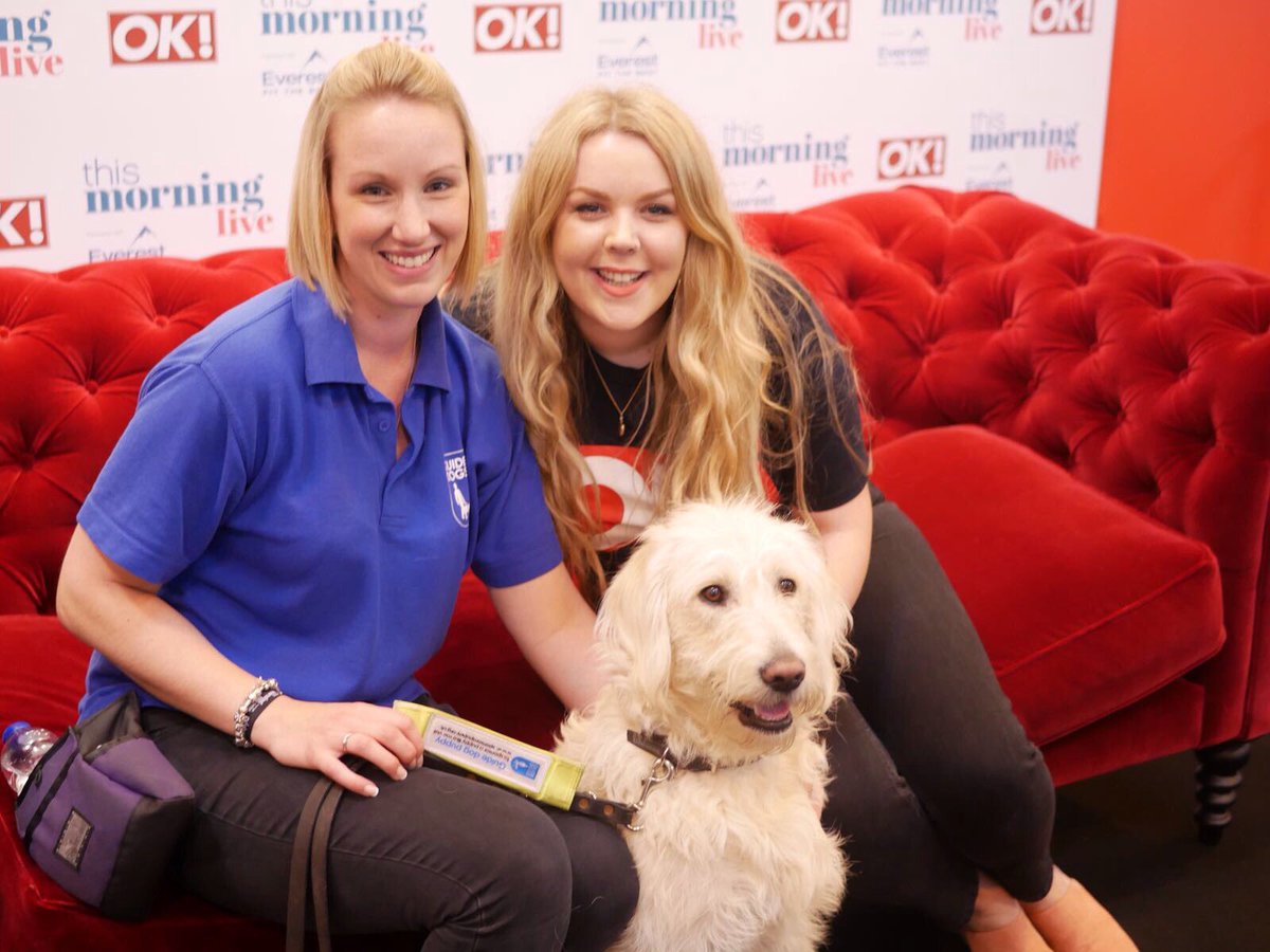 TheGuidePuppy's tweet photo. Another interview, another sofa I'm not allowed onto... 🙄 #GuideDogProblems #TMLive @OK_Magazine https://t.co/cqknB1EgJF