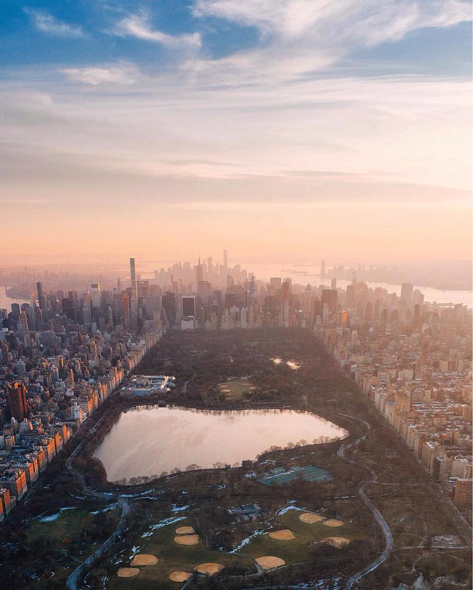 Savoteur tweet media