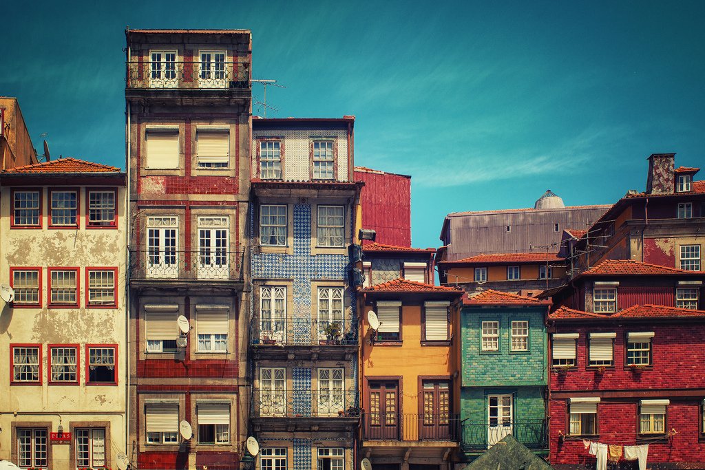 FEST Film Lab tweet media