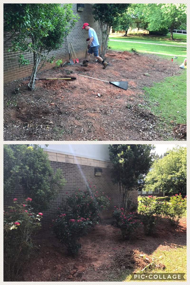MrsVolland's tweet photo. Transplanting our roses πΉ Thank you for making this happen! #BeforeAndAfter #OurVolunteersRock #PrettySchool @Aaronmarcin @k8edemcio https://t.co/wZtV5ZRbAs