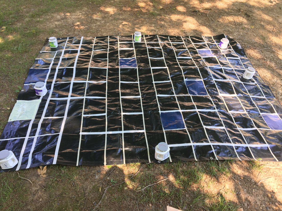 jlundquist000's tweet photo. There is a lot more painting to be done, but I am hoping that the students will love the vibrancy of the final product! #pwgwaves7a #playon https://t.co/kNwXmUX4Z1