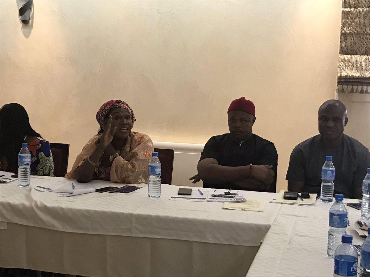 HHassan812's tweet photo. .@IRIglobal staff @HHassan812 urged #Nigeria political parties 2 b gender responsive during @IPAC_Nigeria party dialogue on election reforms https://t.co/kG4fIuF8aG
