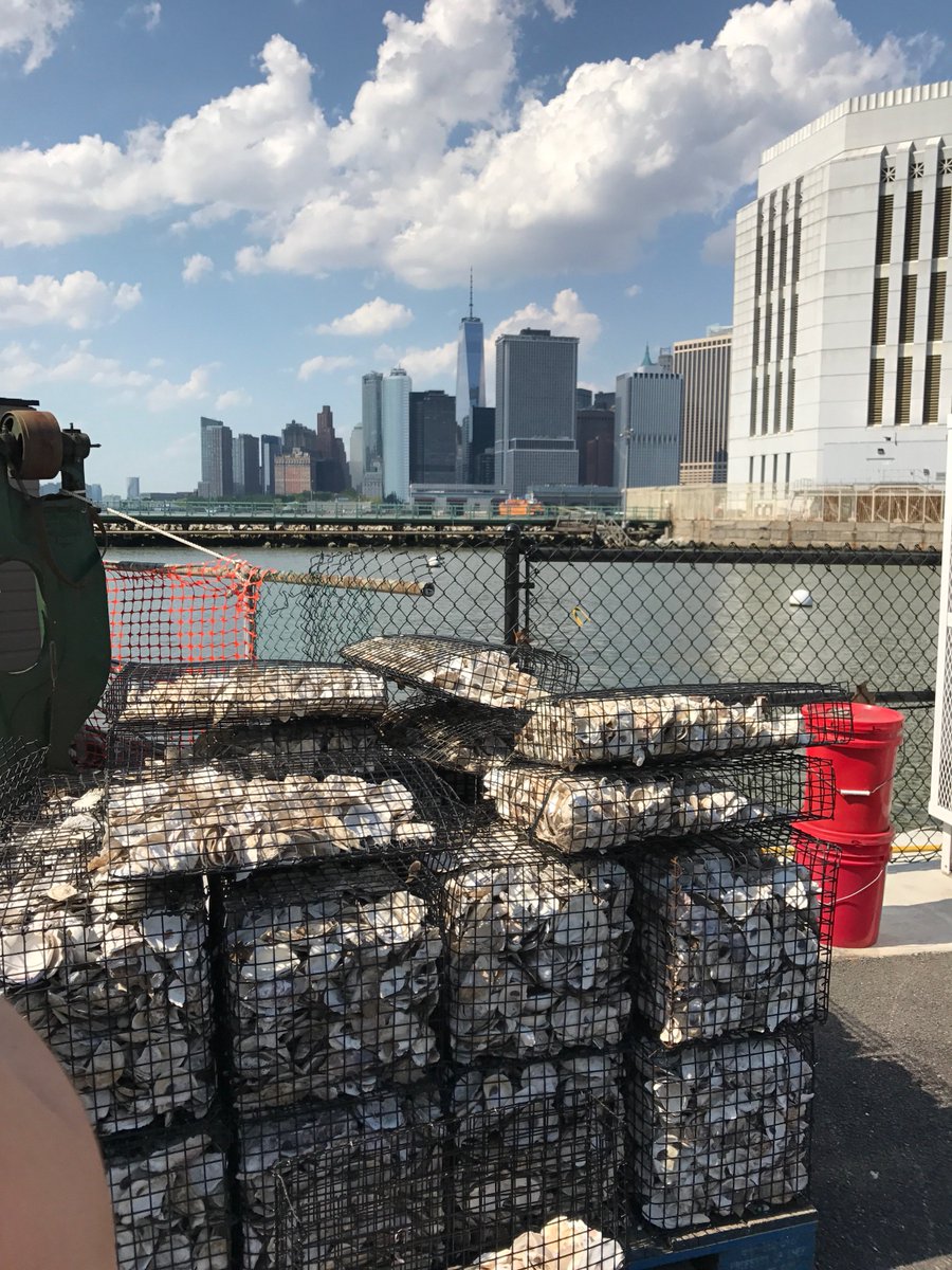 MooreCharitable's tweet photo. Yesterday #MooreCharitable &amp; @NCCoastalFed were treated to a tour of @HarborSchool and their @BillionOyster Project. So impressive! #Oysters https://t.co/Yf2U5wfjJU
