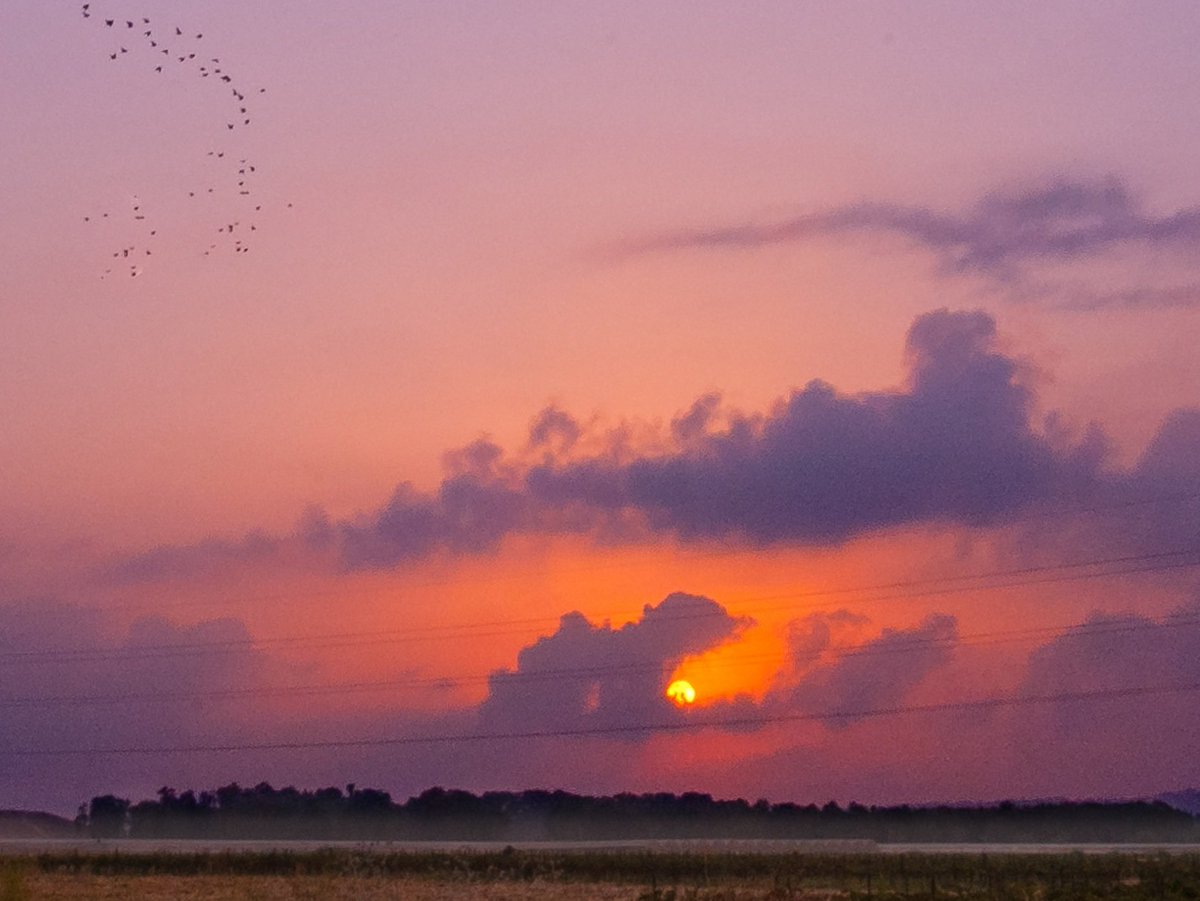 VC0712's tweet image. Cloudy evening
------------------------
~  Sun setting
       Into the mouth
       of a Crocodile   ~

#VCSpeak