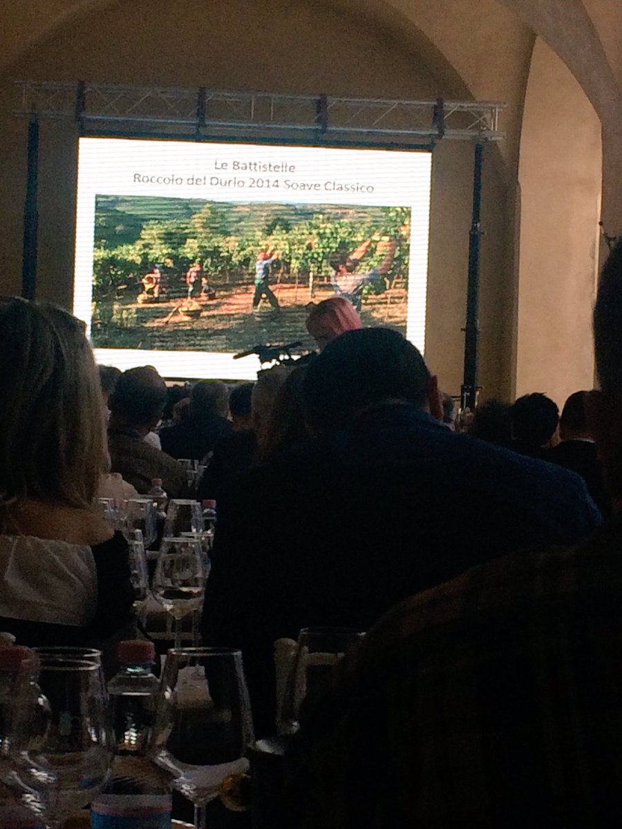 LeBattistelle's tweet photo. Roccolo del Durlo 2014 one of the wines at All #Pergola tasting! Attilio Scienza, F.Gaiotti, M.Gily and W.Speller the relators🗣#SoavePreview https://t.co/fRX5Ov2KuK