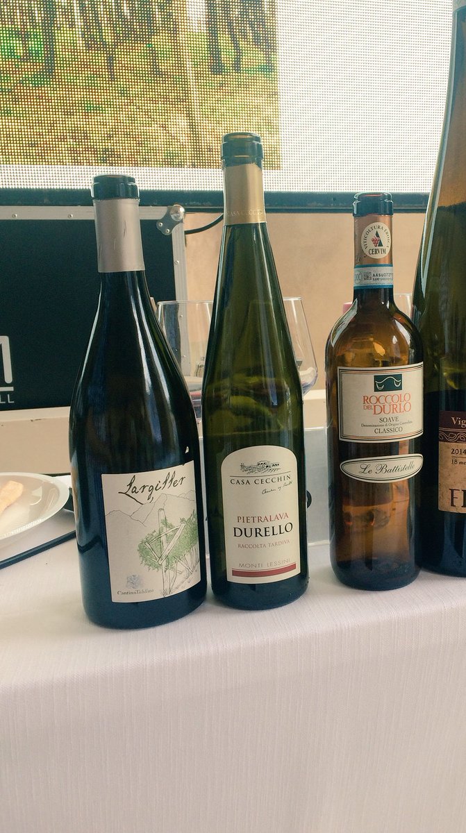LeBattistelle's tweet photo. Roccolo del Durlo 2014 one of the wines at All #Pergola tasting! Attilio Scienza, F.Gaiotti, M.Gily and W.Speller the relators🗣#SoavePreview https://t.co/fRX5Ov2KuK