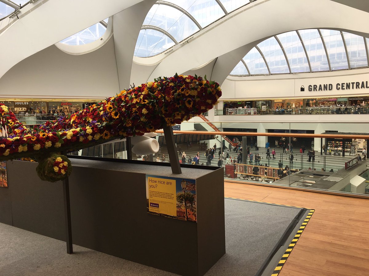 tommymarlow's tweet photo. Just met with my new friends @Monarch - if you're heading through @atGrandCentral before 7pm, they're giving away free flights...#YearofNice https://t.co/eEeJm2YYCM