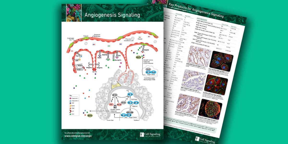 free epidemiology proceedings