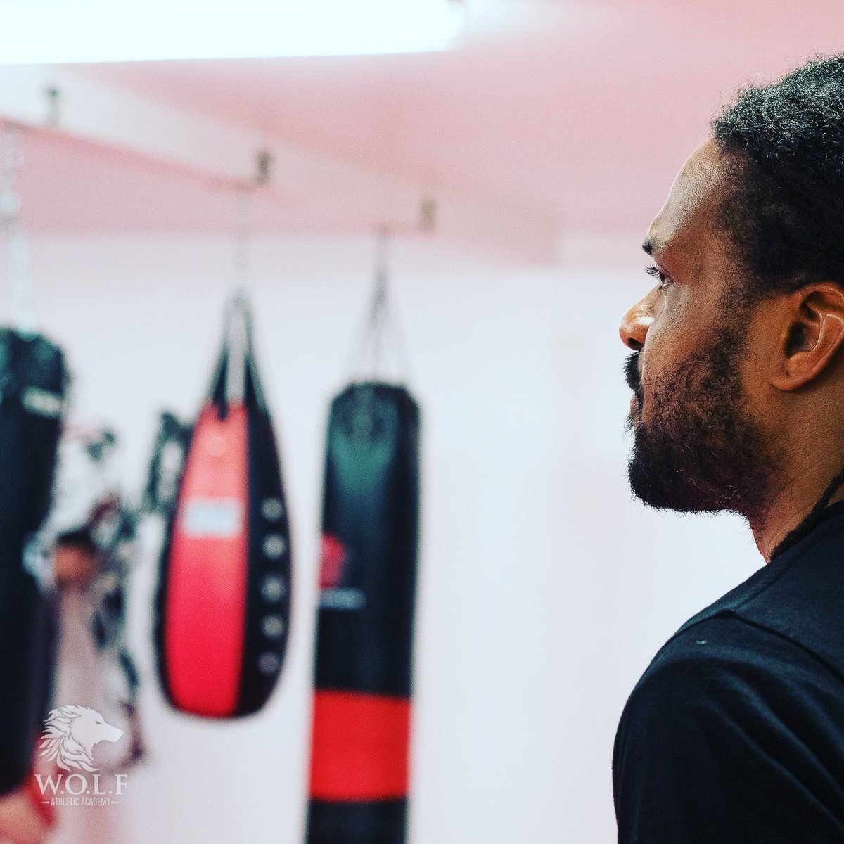 CorsoFitness's tweet image. Focused on the training ahead... #wolfstclair #wolftoronto #graciebarratoronto #muaythai #boxing #brazilianjiujitsu