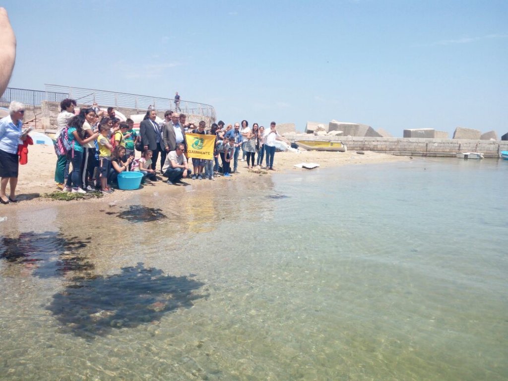 Liberata Giovanni, un esemplare di Caretta caretta, curata dall'Ist. Zooprofilattico. Presentato il nostro CEA Mare