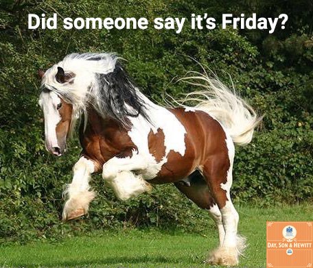 DaySonHewitt's tweet photo. Did someone say It's Friday?
Have a great weekend everyone! https://t.co/Ns7uBvdMTr