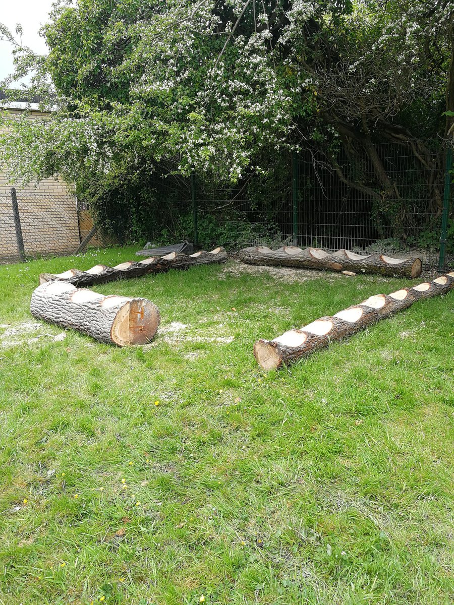 CwmneddPrimary1's tweet photo. Thank you very much to The Log Depot for helping us to utilise our old tree to make Outdoor Seating for the children to enjoy #morfaglas https://t.co/NujjQMoVnz