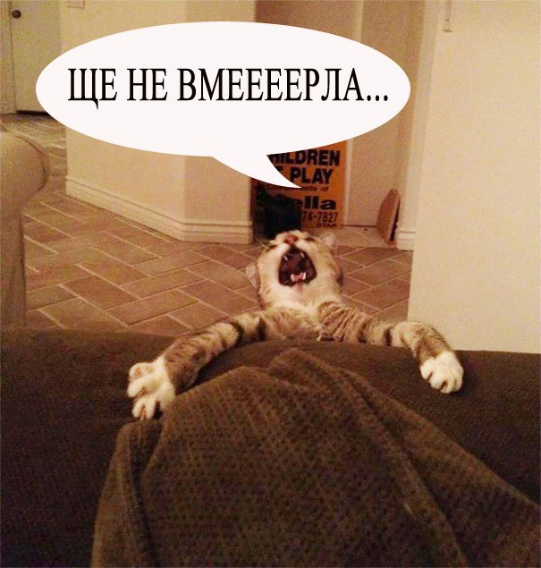 Павел Вишневский (@pavishn_ya) on Twitter photo 