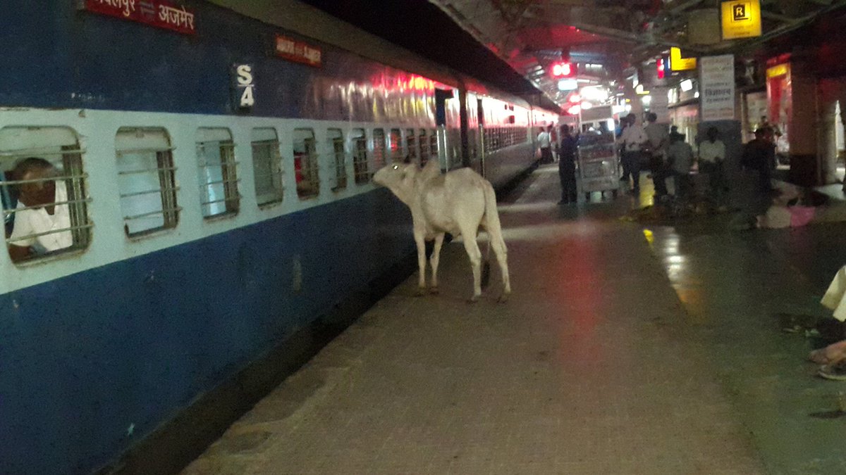 JeetsaaS's tweet photo. @Rjkartik @SawaiMadhopur RailwayStaion https://t.co/FDZOSWB4uZ