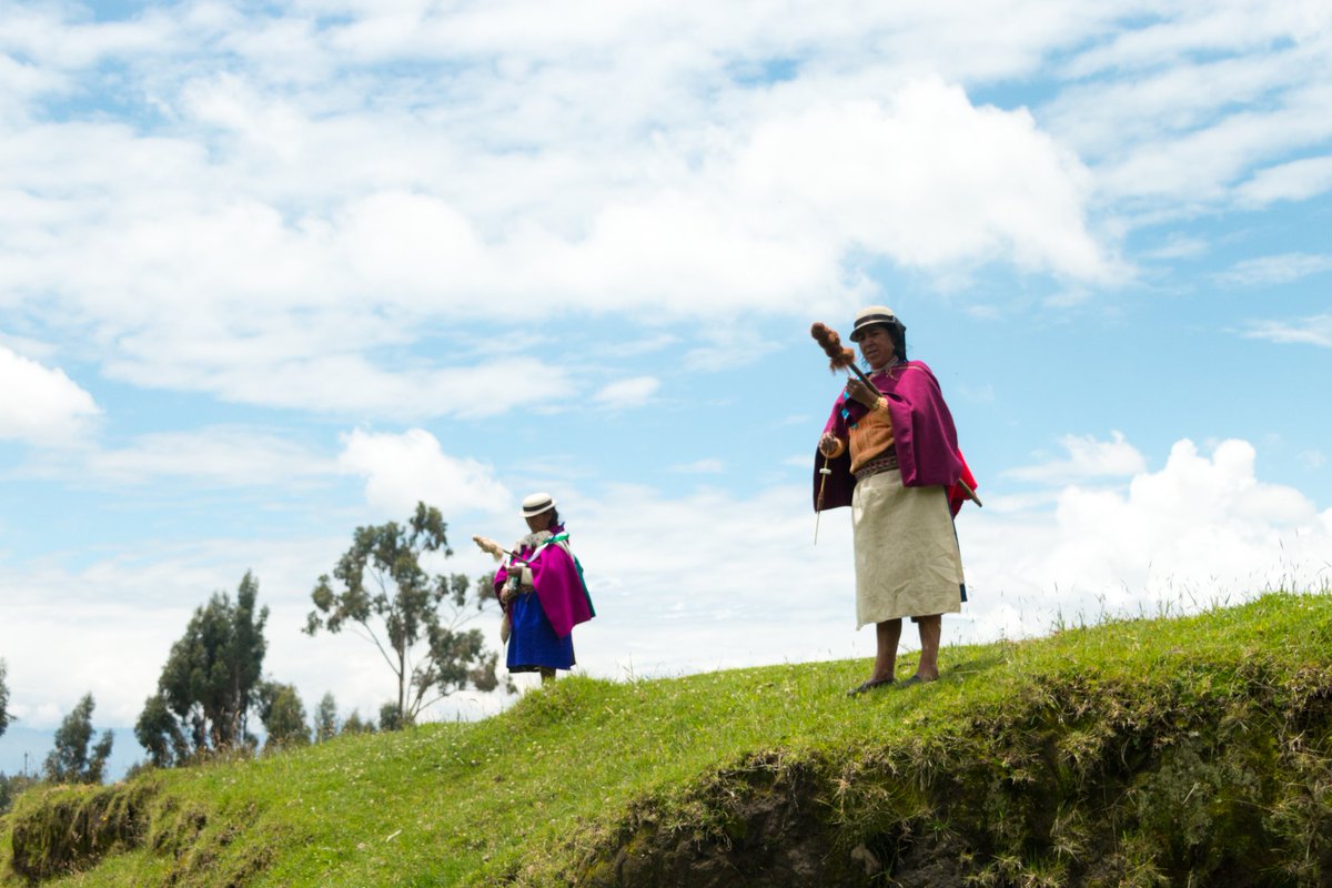 Roberto Bonilla tweet media