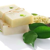 #maltepedemasaj #massözbayan #bayanmasöz #harikamasajlı saatler #banyo #duş #kahve #çay #mutluluk #suylakeyfi yaşa 0543 611 53 02