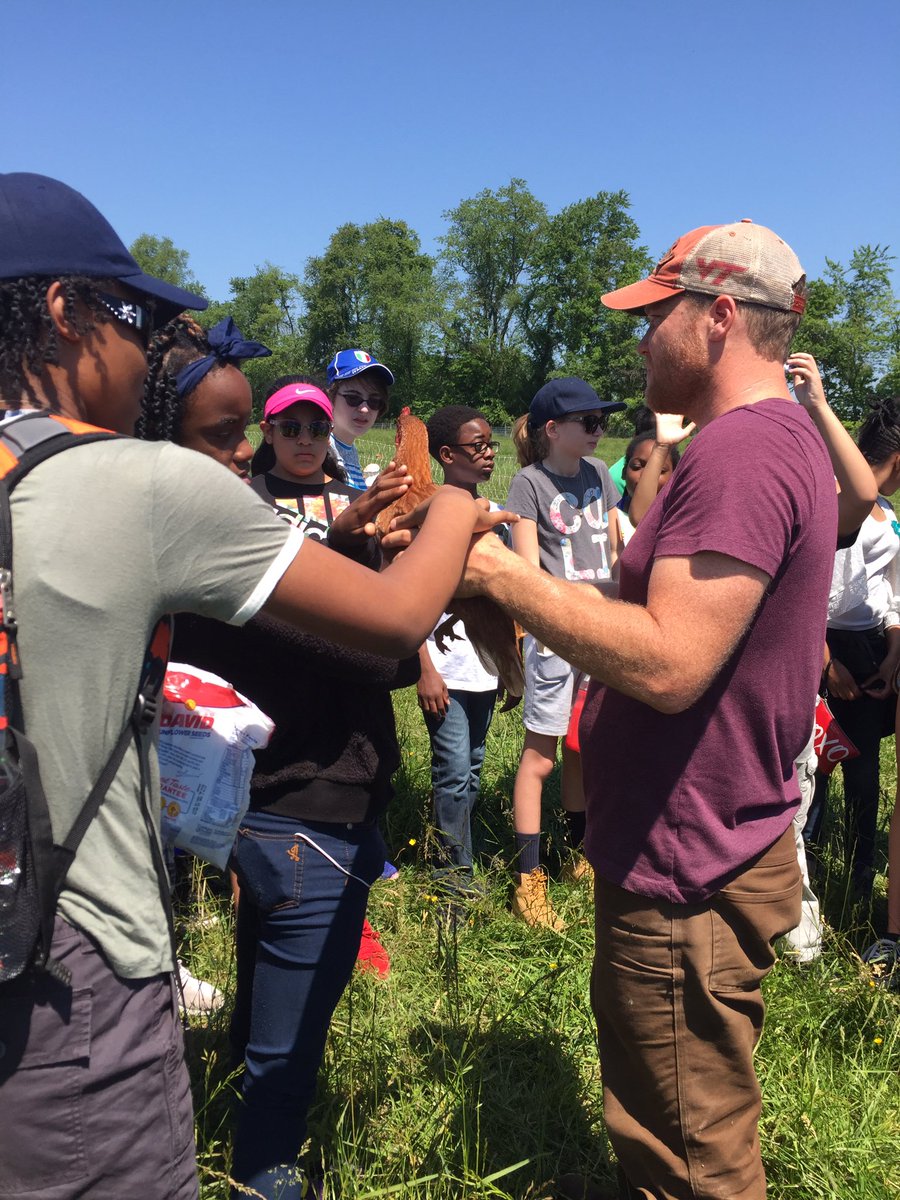 Ms. Clyne tweet media