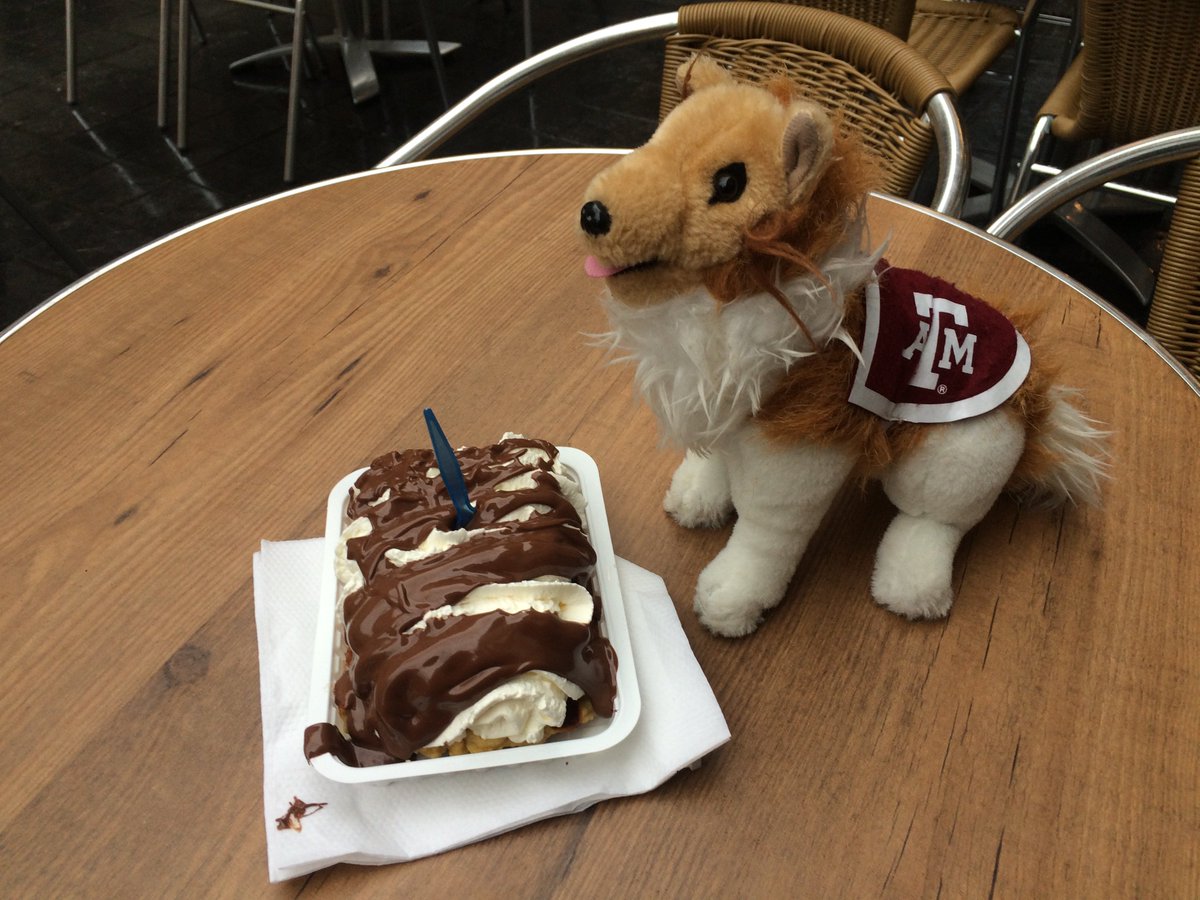 tamuglobal's tweet photo. #FoodieFriday: Miss @reveille has eaten some delicious desserts while studying abroad. What's your favorite? #aggiesabroad #revontheroad https://t.co/iNXG5kDfpI