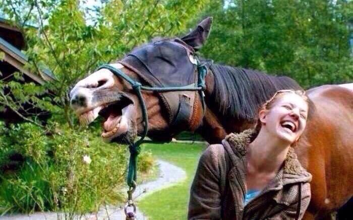 PardueSuzanne's tweet photo. Be so happy that when others
look at you, they will become
happy, too... https://t.co/Rtjh05CJUL