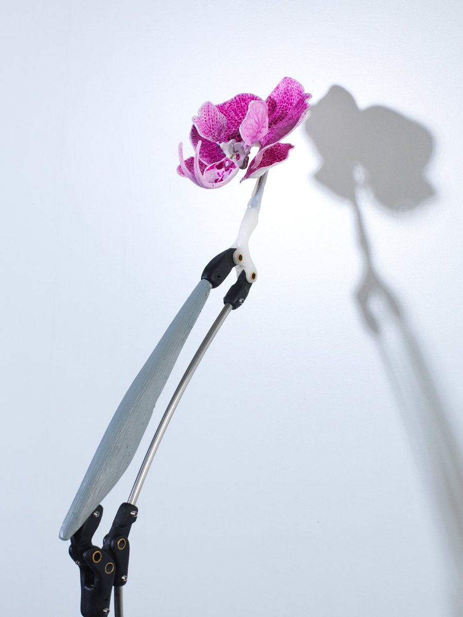 MB&F M.A.D.Gallery tweet media