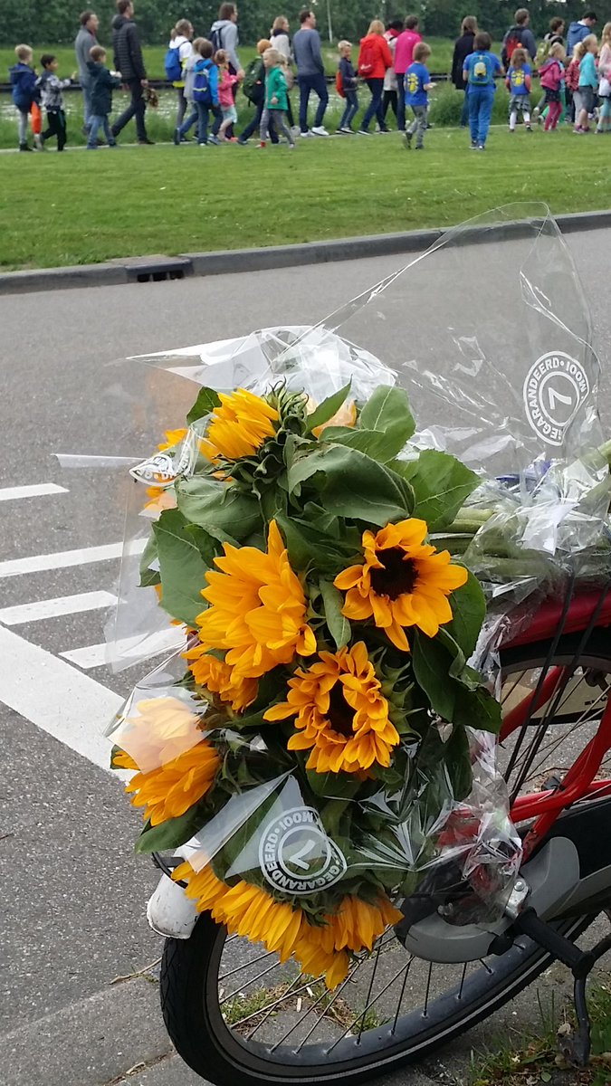 ErikKohl's tweet photo. Dag 4. Veel bloemen (en veel snoep). #ooginal #a4dooginal https://t.co/xGSGgH2O0P