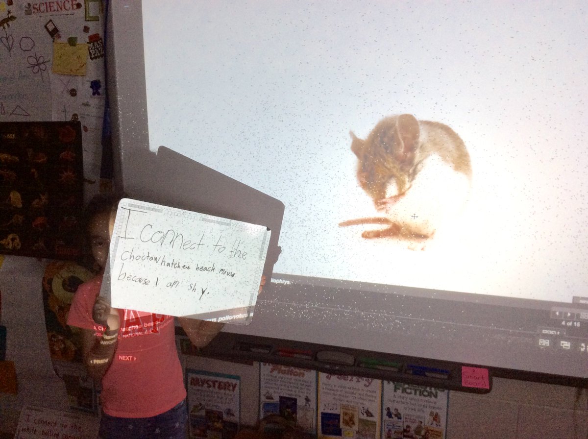 MrsJBurgin's tweet photo. #SaveTogether #EndangeredSpeciesDay Sharing connections to the work of @joelsartore @NatGeo #Animal Ark - Group 5 - @APSscience #APSWrites https://t.co/jxBUidEOnL