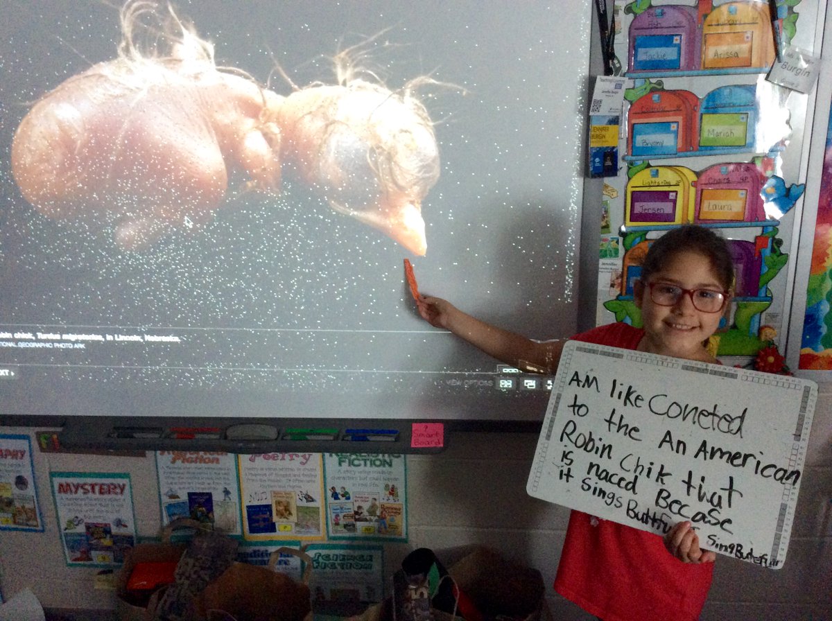 MrsJBurgin's tweet photo. #SaveTogether #EndangeredSpeciesDay Sharing connections to the work of @joelsartore @NatGeo #Animal Ark - Group 5 - @APSscience #APSWrites https://t.co/jxBUidEOnL