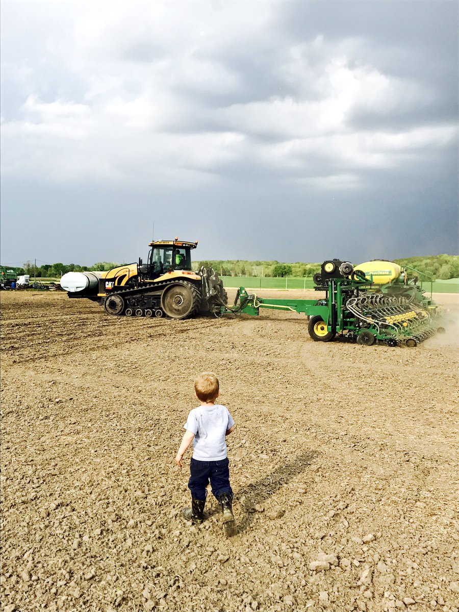 NatalieKutz's tweet photo. #MyPlanting17 https://t.co/zjHeSlZFA1