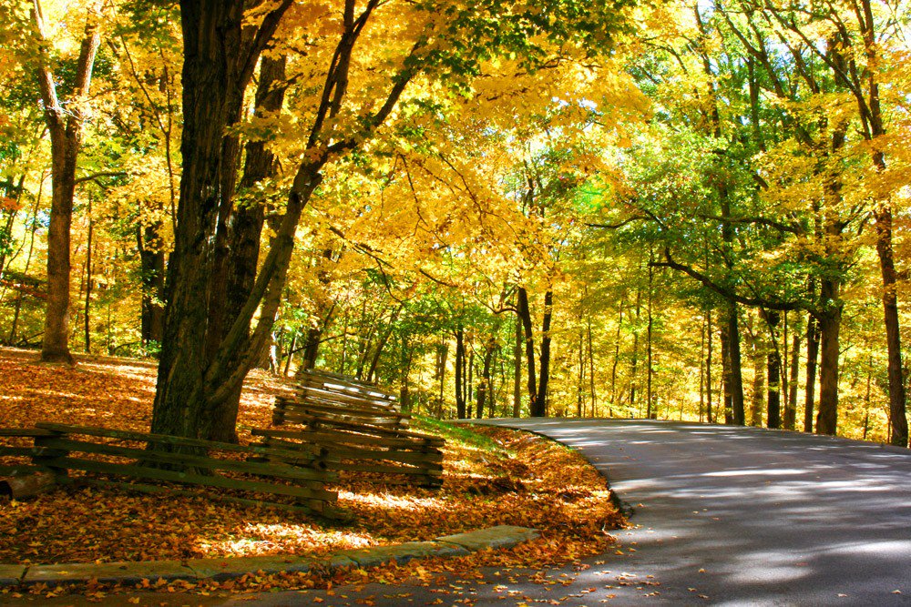 RobJsp's tweet photo. Brown County State Park (Indiana, USA) #travel #Indiana #USA #park - 70 miles of horse trails, as well as hiking and mountain biking trails https://t.co/2YfPA4NbRM