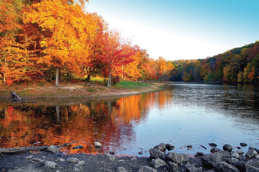 RobJsp's tweet photo. Brown County State Park (Indiana, USA) #travel #Indiana #USA #park - 70 miles of horse trails, as well as hiking and mountain biking trails https://t.co/2YfPA4NbRM