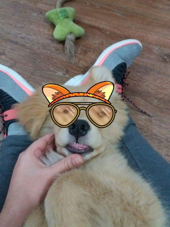 Samanda_Massiel's tweet photo. https://t.co/7Pmkte3kUP