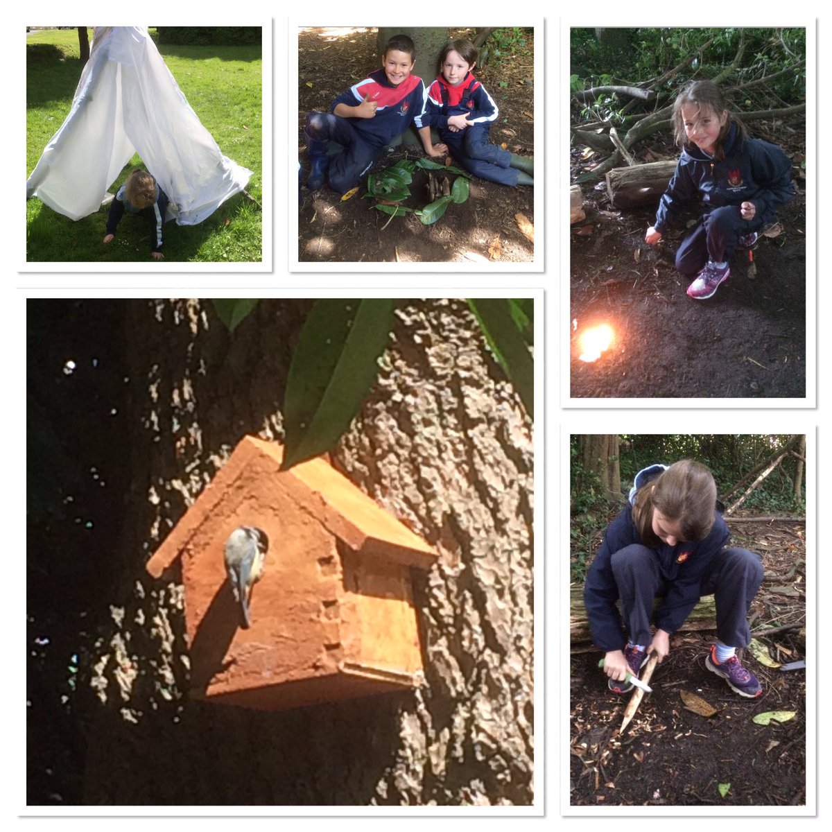 LlandoveryPrep's tweet photo. Exciting times at Forest School today @Ignite_UP #whittling #fires # #bughotels #babybirds #teepee #ForestSchool https://t.co/TWQtOJ1Rxi