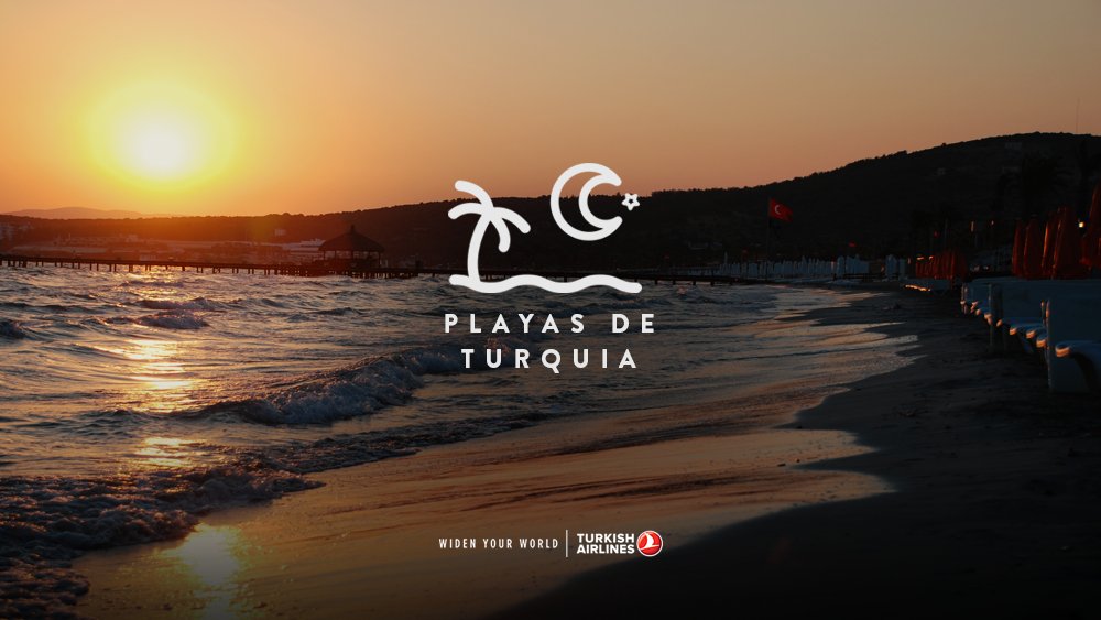 Turkish Airlines ARG tweet media