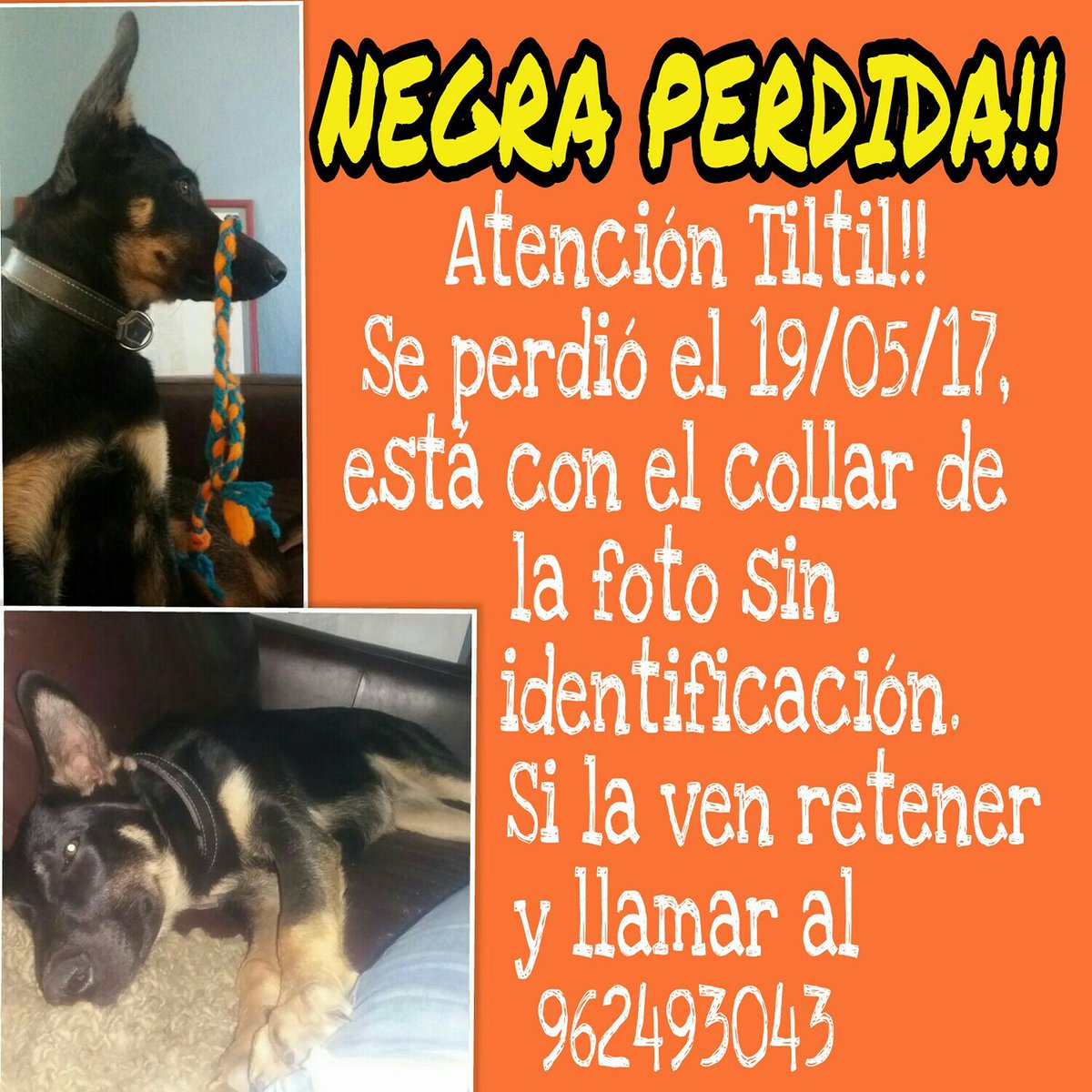#extraviadosensantiago #tiltil