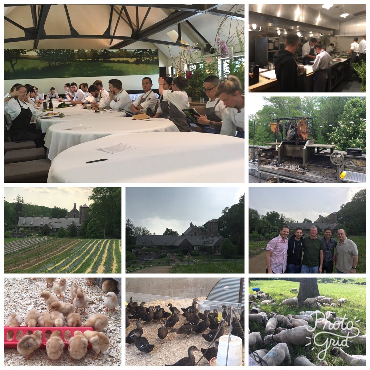 connell_david's tweet photo. An absolute honour and a privilege to spend the day @bluehillfarm with @Swainsoncooks @LewisHamblet @Robertpotter999 @david13100803 https://t.co/MKitAO3GU2