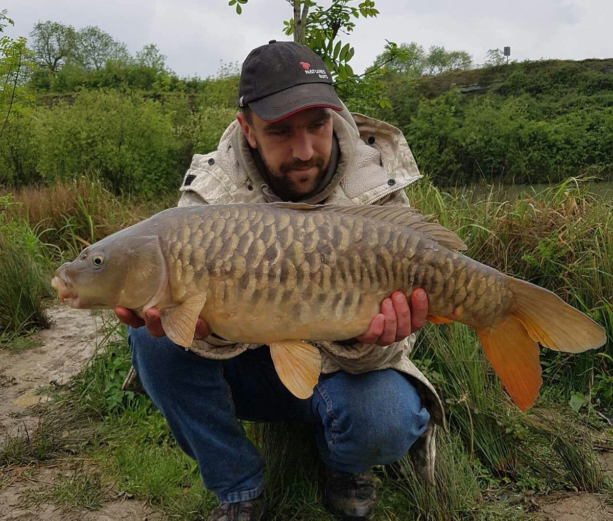 WBMCarpFishing's tweet photo. 4 I landed today on @Naturesbaits #BloodwormX topped with a piece of fake corn or #PinkCrush. 6lb, 12lb, 14lb &amp; 16lb. Lost 5 more in weed https://t.co/xb5gVAkNhB