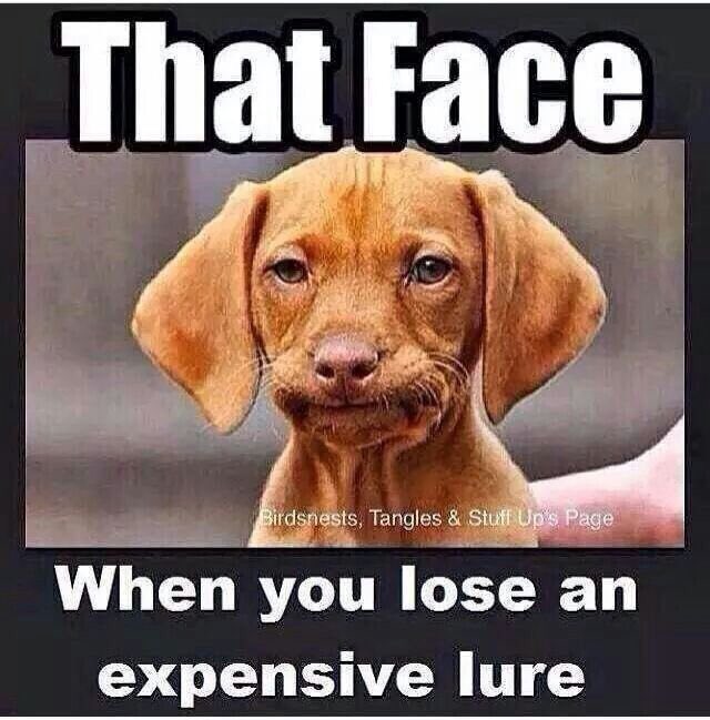 HandFoutdoors's tweet photo. Better luck next time 😂 https://t.co/IrYw9DNrIU
