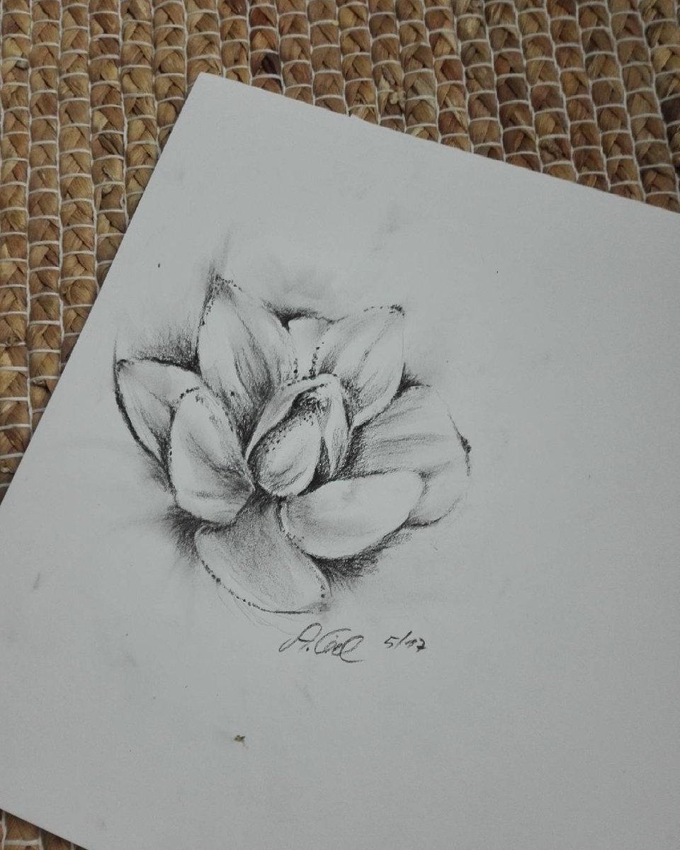 AniyaCiel's tweet photo. Quick #flower #sketch  drawn with pencil  and #charcoal.
https://t.co/1C8EWLpnLS
#aaa #artmagazine #arte #pencilart  #berlinart #artscene https://t.co/ii3gZuLJr4
