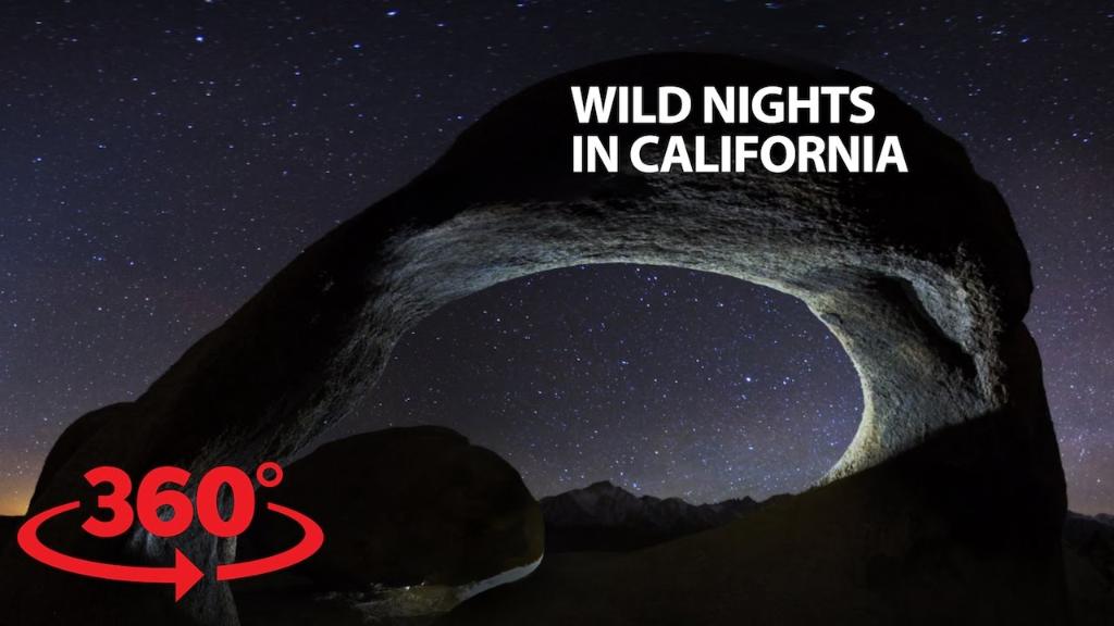 YouTube's tweet image. Look at the ⭐️
Look how they shine for you
And everything you do
And it was in 360° too
goo.gl/cK3yQE