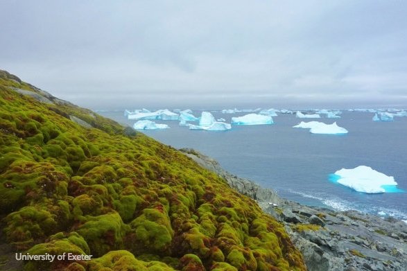 sciam's tweet photo. Climate change is turning Antarctica green https://t.co/KkZtyVh7Zw https://t.co/dcncIbdJ81