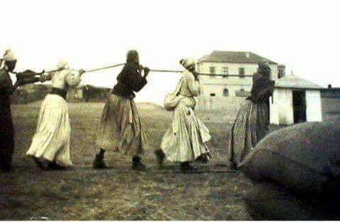 ������� ������� ������