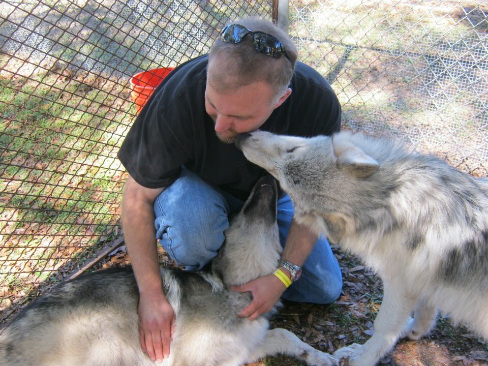 BryanRuss1's tweet photo. Apex predators and Wolves are vital to our ecosystem. #EndangeredSpeciesDay #VetoExtinction https://t.co/AnbwaO4NJQ