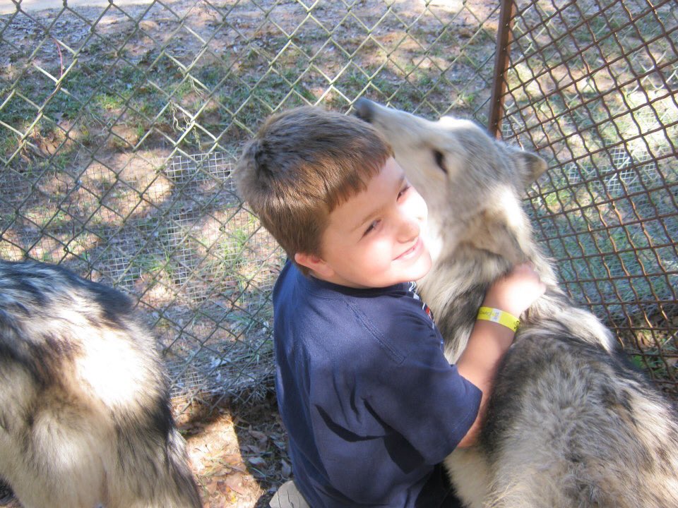 BryanRuss1's tweet photo. Apex predators and Wolves are vital to our ecosystem. #EndangeredSpeciesDay #VetoExtinction https://t.co/AnbwaO4NJQ