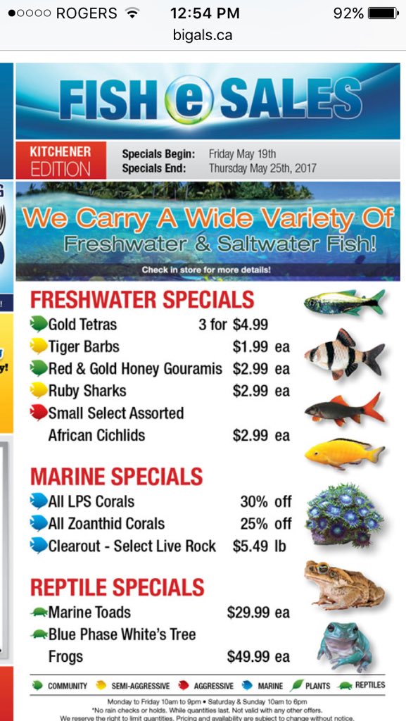 Big Al's Kitchener on Twitter "Our deals starting today